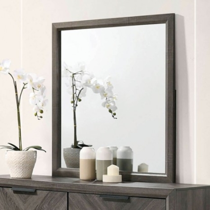Furniture of America Vagan Contemporary Solid with Wood Paper Veneer Gray Mirror Model CM7472GY-M
