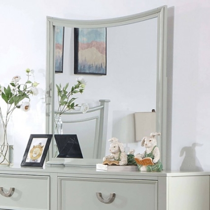 Furniture of America Lycorida Transitional Solid with Wood Gray Mirror Model CM7477GY-M