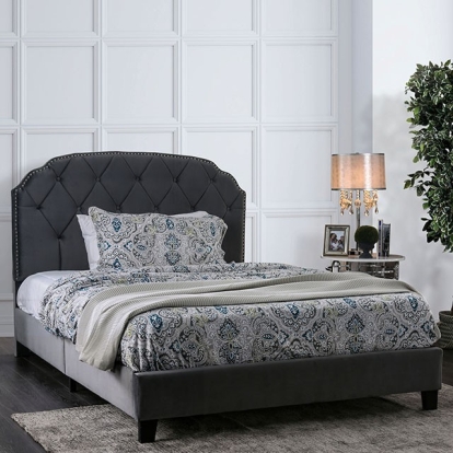 Furniture of America Osnabrock Transitional Velvet-Like Solid with Wood Gray Bed Model CM7546