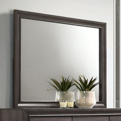Furniture of America Chrissy Contemporary Solid with Wood Veneer Gray Mirror Model CM7552GY-M