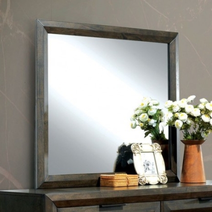 Furniture of America Nikomedes Transitional Solid with Wood Veneer Espresso Mirror Model CM7557M