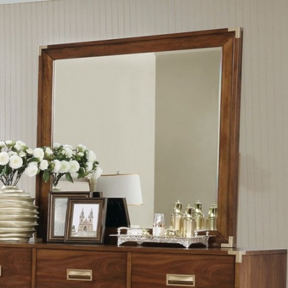Furniture of America Tychus Transitional Solid with Wood Veneer Dark Oak Mirror Model CM7559M