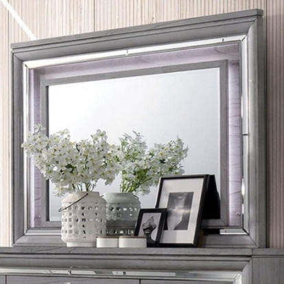 Furniture of America Alanis Contemporary Mirror Solid with Wood Light Gray Mirror Model CM7579M