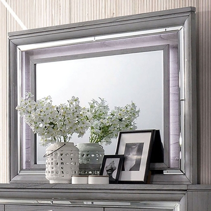 Alanis Light Gray Mirror Model CM7579M by Furniture of America