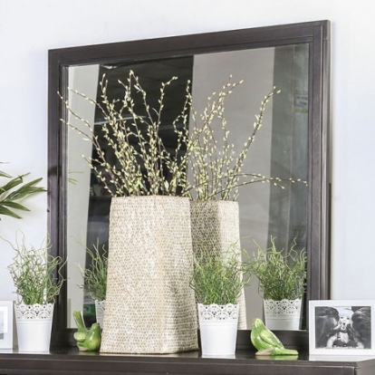 Furniture of America Berenice Transitional Solid with Wood Veneer Espresso Mirror Model CM7580EX-M