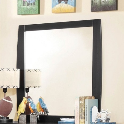 Furniture of America Marlee Transitional Mirror Solid with Wood Black Mirror Model CM7651BK-M-VN