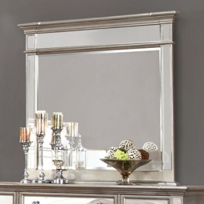 Furniture of America Salamanca Glam Mirror Solid with Wood Veneer Silver Mirror Model CM7673M