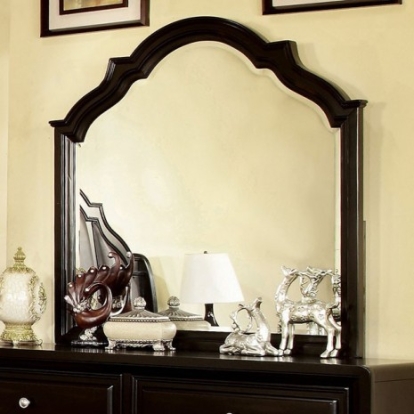 Furniture of America Bristol Transitional Mirror Solid with Wood Espresso Mirror Model CM7686M
