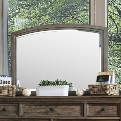 Furniture of America Armus Transitional Mirror Solid with Wood Wire-Brushed Gray Mirror Model CM7719M
