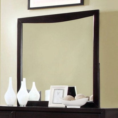 Furniture of America Snyder Transitional Mirror Solid with Wood Veneer Espresso Mirror Model CM7792EX-M