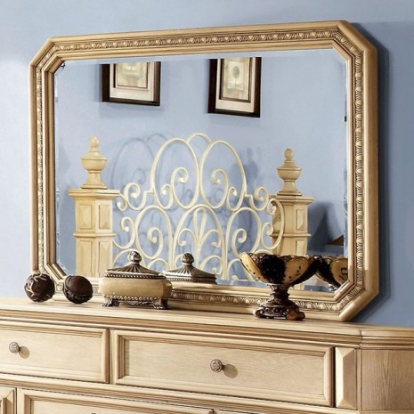 Furniture of America Waldenburg Traditional Mirror Solid with Wood Veneer Antique White Mirror Model CM7810M