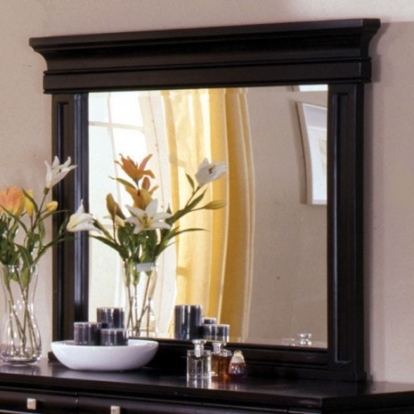 Furniture of America Cambridge Traditional Mirror Solid with Wood Veneer Espresso Mirror Model CM7812DK-M