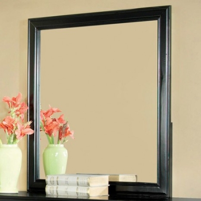 Furniture of America Laurelle Transitional Mirror Solid with Wood Veneer Black Mirror Model CM7815BK-M