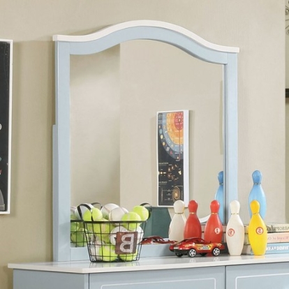 Furniture Of America Deana Contemporary Mirror, Solid Wood, Wood Veneer, Others Blue/White Mirror | CM7851M
