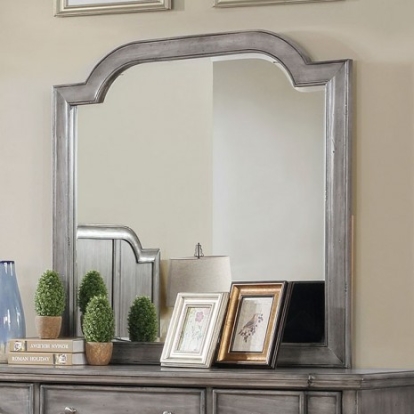 Furniture of America Ganymede Transitional Mirror Solid with Wood Veneer Gray Mirror Model CM7855M
