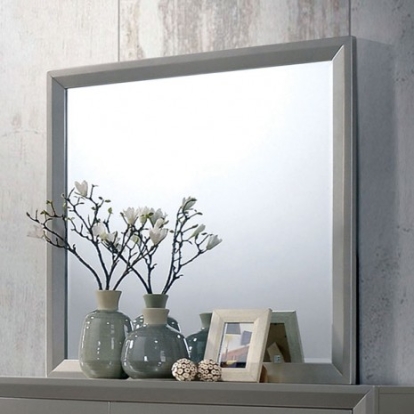 Furniture of America Blythe Contemporary Mirror Solid with Wood Silver Mirror Model CM7869M
