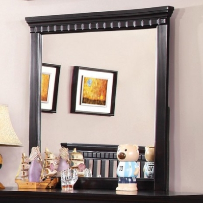 Furniture Of America Caspian Transitional Mirror, Solid Wood, Others Black Mirror | CM7920BK-M