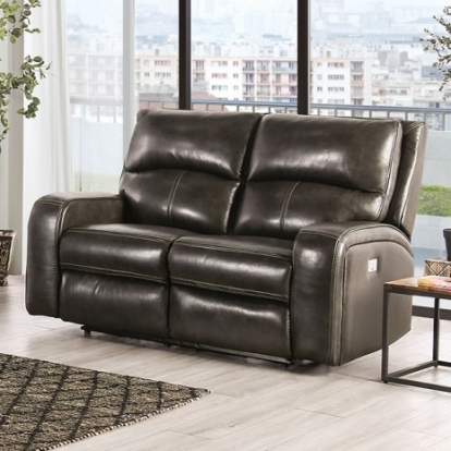 Furniture of America Soterios Transitional Top Grain Leather Match Solid with Wood Charcoal Power Loveseat Model CM9924DG-LV-PM