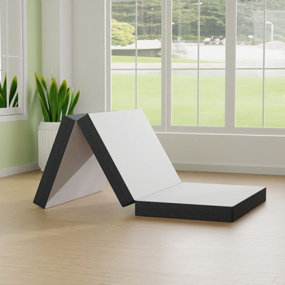 Furniture of America Hollyhock Contemporary Metal White-Gray Mattress Model DM1004