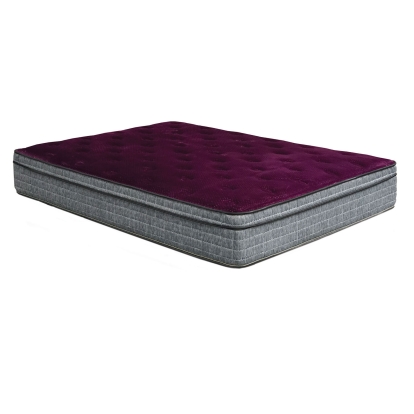 Minnetonka Purple 13" Euro Pillow Top Mattress Model DM317CK-M by Furniture of America