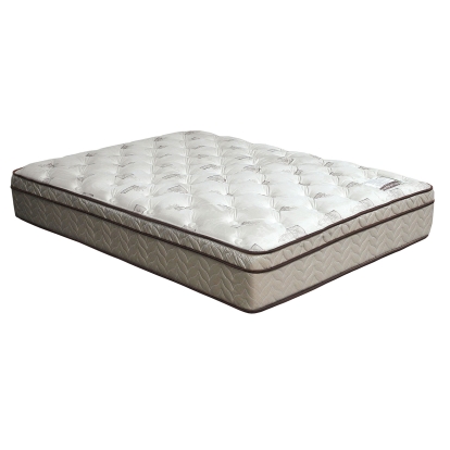 Lilium White/Brown 13" Euro Pillow Top Mattress Model DM318CK-M by Furniture of America