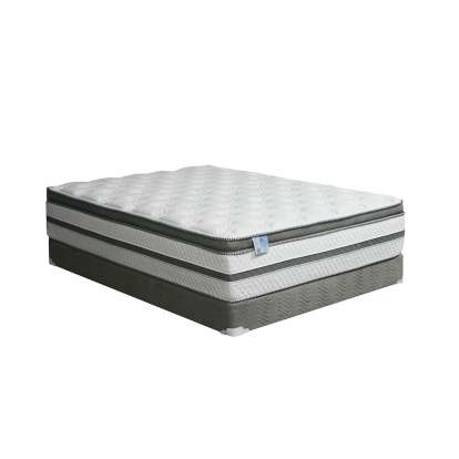 Siddalee White/Gray 16" Euro Pillow Top Mattress Model DM339CK-M by Furniture of America