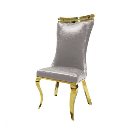 Furniture of America Palazzo Glam Fabric Foam Stainless Steel Silver Chair Gold-Silver (2-Ctn) Model FM33011SV-SC-2PK