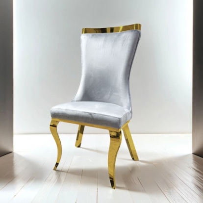 Furniture Of America Basilicata Glam Fabric, Foam, Stainless Steel Gray Gold Chair (2/Ctn) | FM33013GY-SC-2PK
