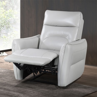 Furniture of America Terentius Contemporary Engineered with Wood High Density Foam Leather Match Pocket Coil Spring Sinuous Spring And Webbing Suspension Tropical Hardwood Tropical Hardwood Taupe Power Recliner Model FM69006TP-CH-PM