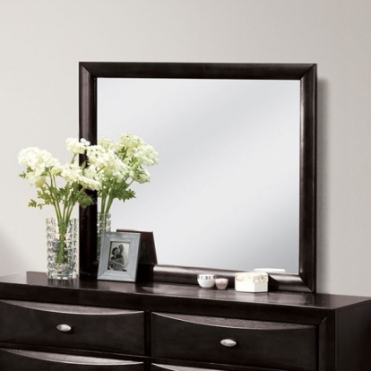 Furniture of America Zosimo Transitional Engineered with Wood Solid with Wood Black Mirror Model FM7210BK-M