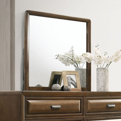 Furniture of America Caerwys Transitional Engineered with Wood Solid with Wood Veneer Brown Mirror Model FM7231BR-M