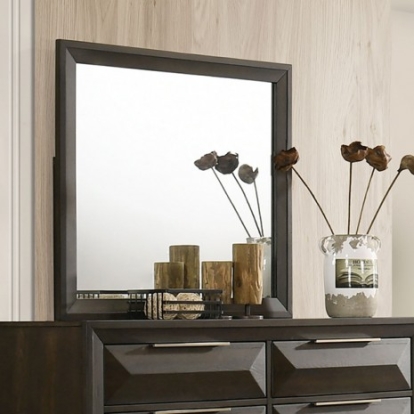 Furniture of America Hexham Transitional Engineered with Wood Solid with Wood Veneer Espresso Mirror with Support Model FM7232BR-M