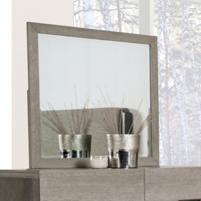 Furniture of America Gristalt Contemporary Engineered with Wood Solid with Wood Stone Gray Mirror Model FM7597GY-M