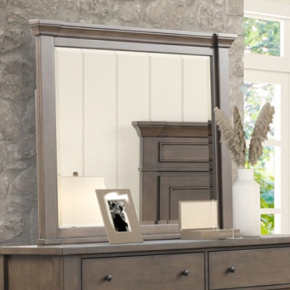 Furniture of America Huddersfield Transitional Birch Veneer Engineered with Wood Pinewood Dark Walnut Mirror Model FM7702DB-M