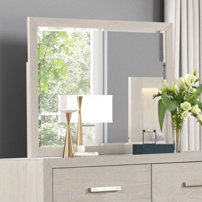 Furniture of America Wellingborough Transitional Engineered with Wood Oak Veneer Solid Acacia Light Gray Mirror Model FM7703AK-M