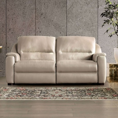 Furniture Of America Altamura Transitional Engineered Wood, Real Italian Leather, Others Taupe Power Loveseat | FM90002TP-LV-PM-PK