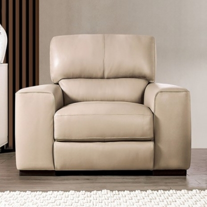 Furniture of America Marsicano Transitional Engineered with Wood Real Italian Leather Taupe Chair Model FM90005TP-CH