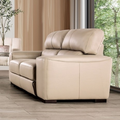 Furniture of America Marsicano Transitional Engineered with Wood Real Italian Leather Taupe Loveseat Model FM90005TP-LV