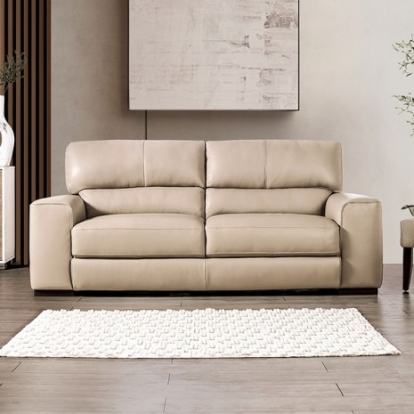 Furniture Of America Marsicano Transitional Engineered Wood, Real Italian Leather, Others Taupe Sofa | FM90005TP-SF