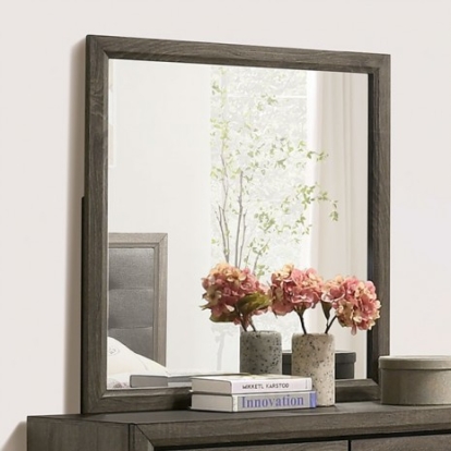 Furniture of America Roanne Transitional Solid with Wood Veneer Gray Mirror Model FOA7927M