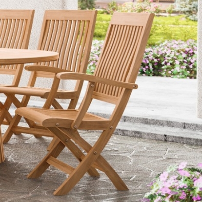 Furniture of America Nusa Transitional Teak with Wood Natural Folding Arm Chair Model GM-2037