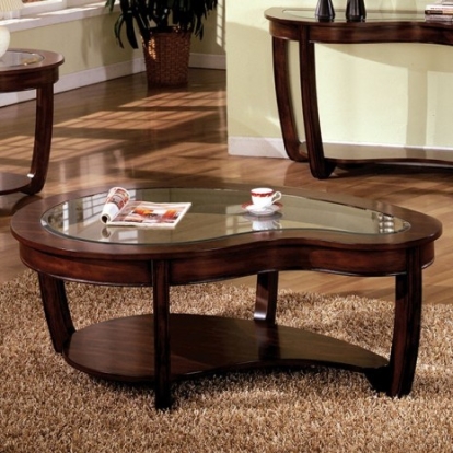 Furniture of America Crystal Falls Transitional Tempered Glass Solid with Wood Veneer Dark Cherry Coffee Table Model CM4336C