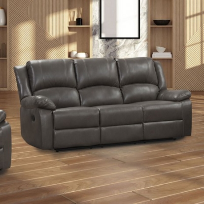 Furniture of America Letha Transitional Breathable Leather Solid with Wood Gray Manual Sofa Model NX6008GY-SF